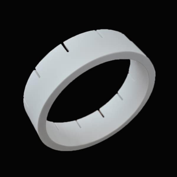 Alumina Ceramic Seal Ring